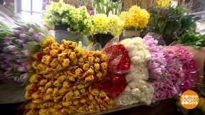 Дарите женщинам цветы! Только не кактусы... Доброе утро. Суббота. Фрагмент выпуска от 07.03.2026