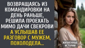 Истории из жизни Возвращаясь из командировки на день раньше, решила проехать мимо дачи свекрови…