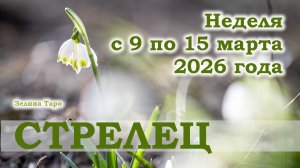 СТРЕЛЕЦ | ТАРО прогноз на неделю с 9 по 15 марта 2026 года