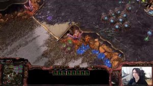 Чуи, Мы Дома! 숲