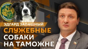Эдгард Запашный и Нина Ватт. Какие собаки работают на таможне?