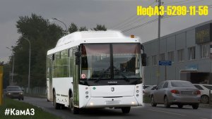 НефАЗ-5299-11-56 (КамАЗ 820.91-260 & ZF 6S 1310BO)