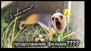 что произойдет с фильмом "Новая жизнь"?