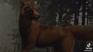 перезалив -вилд крафт /Мы Collab/автора сами видете