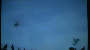 Голубеводы Ташкента 1995 г. ч. 1