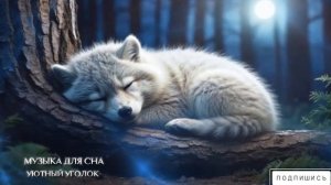 Спокойная мелодия, музыка для сна. Музыка для засыпания. Нежная