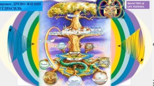 СОНАСТРОЙКА на энергопоток Духа нового дня