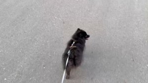 Наслаждаюсь улицой