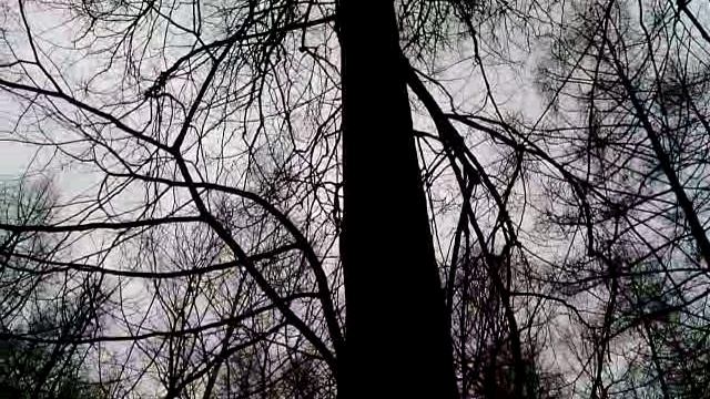 034 2016.03.01_11.20.59