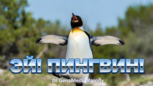 Эй! Пингвин!🐧 | DJ GenaMedia feat. DJ Moggero | Танцевальная пародия на вирусный мем про бобра