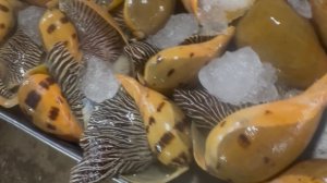 Ланта. Рынок субботы и блины Roti