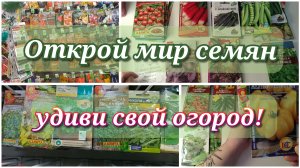 Поход в магазин за семенами//что мы выбрали и какие цены встретили