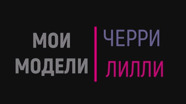 Топ Модели Черри и Лилли. Короткий обзор моих изделий для собак. Примерка.