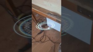 1000050755.mp4 (Собака наблюдает за устройством лестницы на 2-ой этаж в доме А-фрейм)