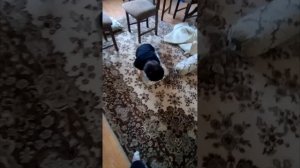 ПОЛ ЭТО ЛАВА ПРОСТОЙ УРОВЕНЬ И СЛОЖНЫЙ ЧЕЛЛЕНДЖ !!