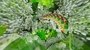 С 8 Марта Поздравление 2 от Киностудии Мудрого Кота Тимофея!