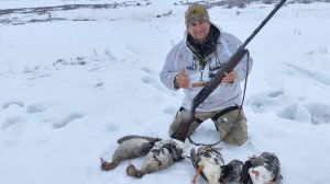 Охота на гуся. Весна. Отличные налеты и много трофеев.