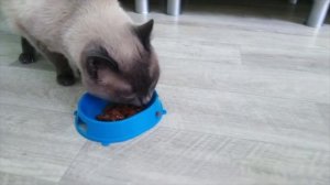 Мой любимый Сёмушка