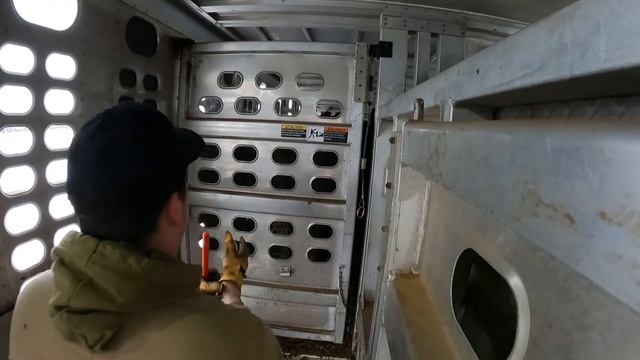 Friday Night Steer’s. 920 lbs (Raw_NO Cuts) (ep.18)