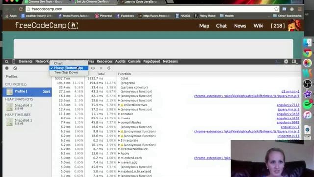 freeCodeCamp.org - 0034 - Chrome Dev Tools. Memory Tab