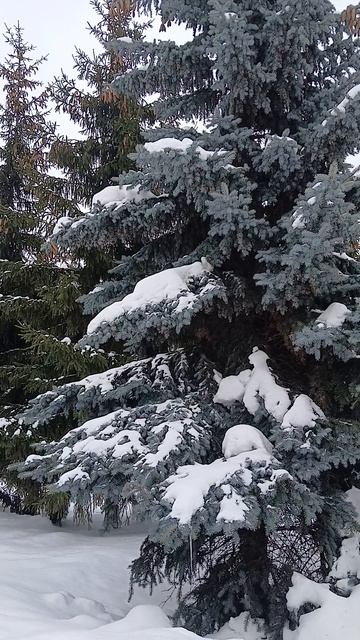 Я жду ВЕСНУ!!!