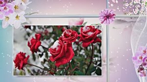 С 8 Марта! Цветочная сказка для женщин 1 от Киностудии Мудрого Кота Тимофея!