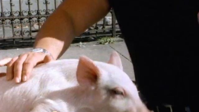 Ramones * Howling at the Moon (Sha-La-La)