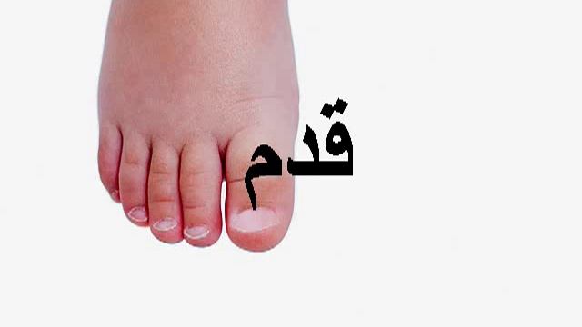 Части тела на арабском  - Arabic Body Parts Vocabulary