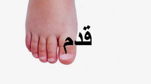 Части тела на арабском  - Arabic Body Parts Vocabulary