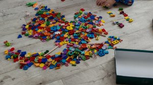 первый раз цветы в деревне