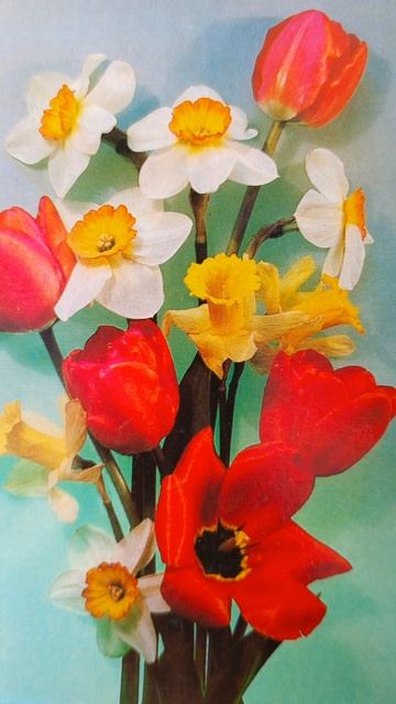 С 8 Марта милые 💐