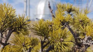 Путешествие в Архыз.mp4