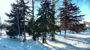 ПУГАЧЁВ. КРАСИВЫЕ ФОТО ЦЕНТРА ГОРОДА