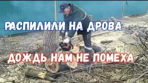 #194🏡Как быстро все получилось/Мясо на шашлык/Укореняю герани/То ли град, то ли снег/Дров много