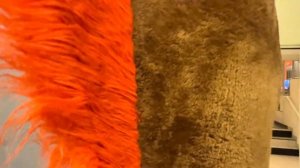 Париж Франция 2026 Шествие с танцами дракона и льва в марте