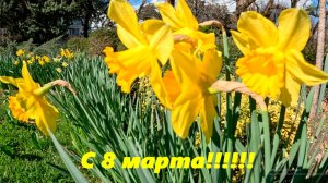 С 8 марта!!!!