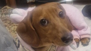 догонялки😁