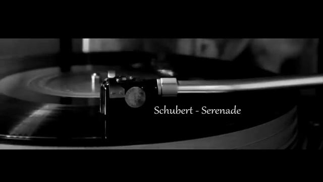 Шуберт Серенада Schubert  Serenade