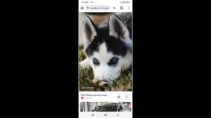 фотки для аккаунта.