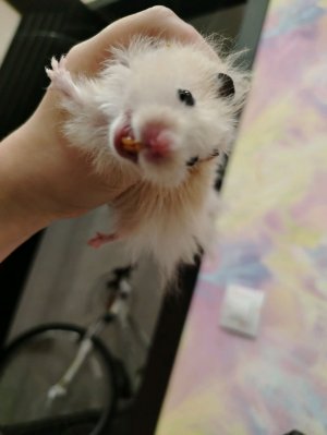 Распоковка желе 💫