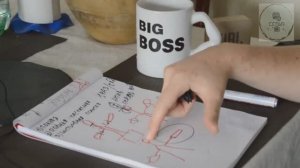 ДЕФОЛИАЦИЯ БОНСАЙ Какие деревья бонсай можно дефолиировать  Как правильно делать дефолиацию