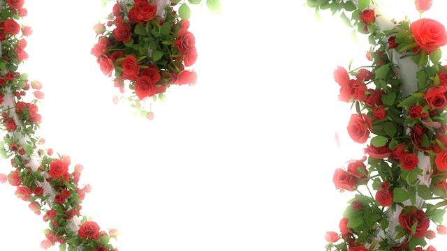 Футаж фон для поздравлений.