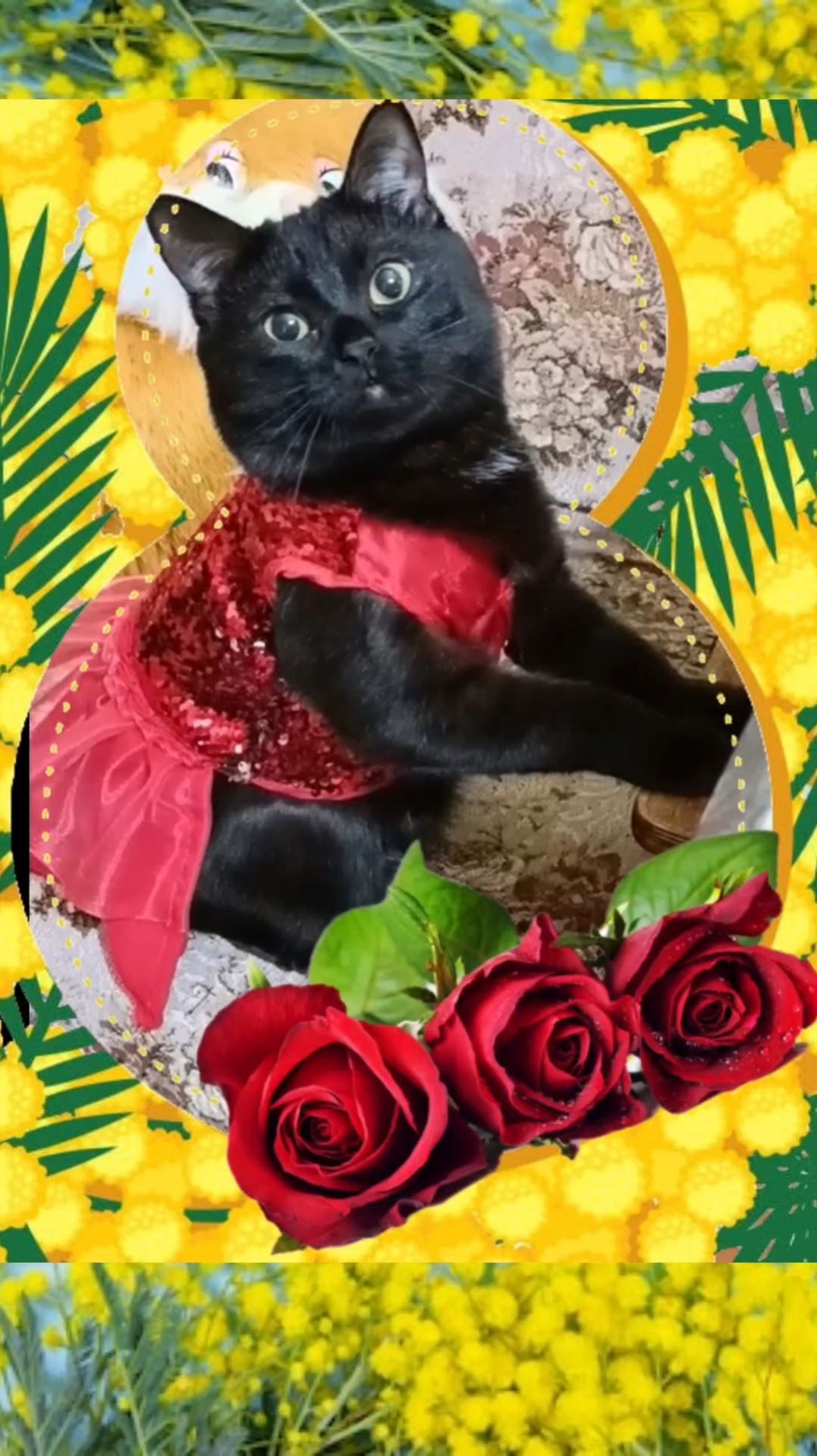 Поздравление с 8 марта!