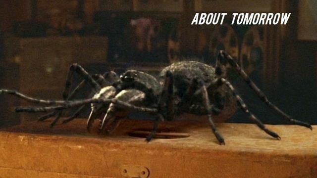 Dale Webster - About Tomorrow