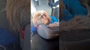 Поехал🤭😉