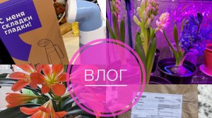 #ВЛОГ КУПИЛА ГИАЦИНТЫ 🪻РАСПАКОВКА ПОСЫЛКИ 🔥 ДОМАШНИЙ ВЛОГ | БОЛТАЛКА🫶