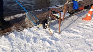 ловля форели,форелевая рыбалка РК "Фишка" Петряиха