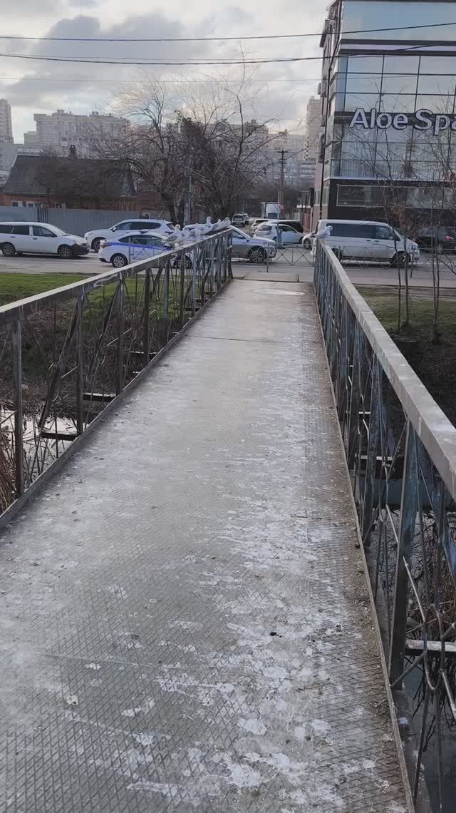 🐦🌱🤯 ЧАЙКИ ЗАГАДИЛИ МОСТ! ЗАПАХ СЕРОВОДОРОДА И БОЛОТА ОТ ПРУДА! ВЕСНА АРОМАТОВ И ЕЁ РАЗНЫЕ ЛИКИ.