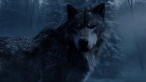 Сумерки 6: Новая глава (Трейлер 2026)