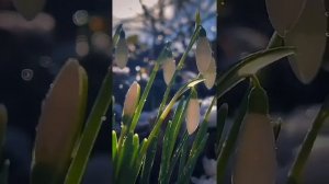 XakeR - Всё пройдёт ...